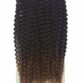 EPIC 3X Passion Twist Hair Water Wave 22"-0